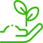 Organic vegetables in Coimbatore
